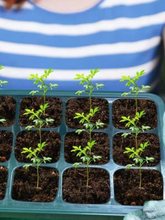 �¿�Ӹ��غ�����Ў��w���B������¼�Ǥ�厧�бP����������