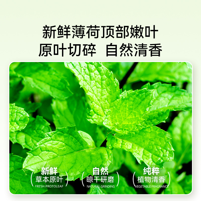 El té de menta para gatos para mascotas promueve el agua potable y promueve la digestión.