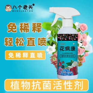 Flower disease health nutrition plant flower universal health free dilution direct injection home gardening essential antibacterial active agent