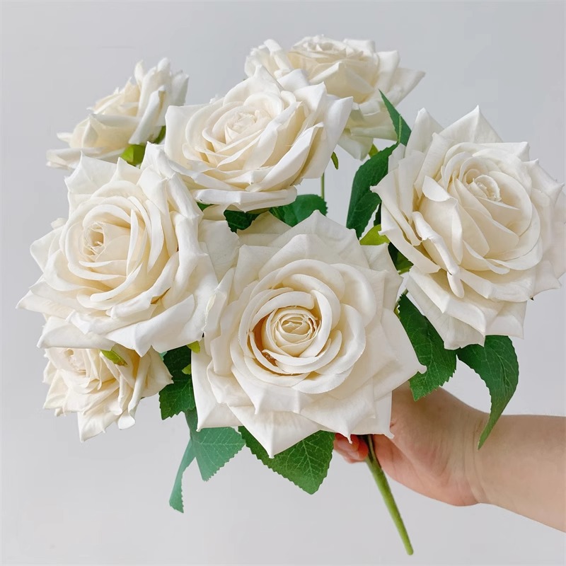 Ivory White Bundle / Relieve