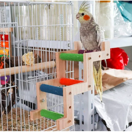 Игрушка, матовая лестница, качели, можно взбираться