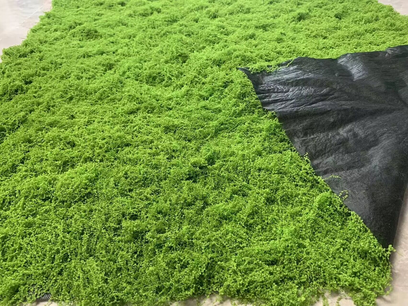 QQ图片20240515135633