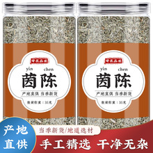 茵陈中药材茵陈红枣茶大枣汤白蒿茵陈新鲜棉茵陈茶包的功效与作用