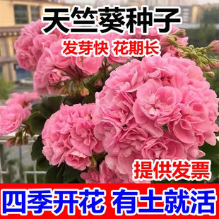 ���ÿ������ļ��׷N�҃Ȼ����̨�����ﲥ���������N�ӟ��N�^���