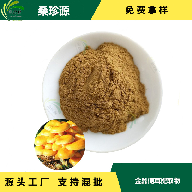现货供应金鼎侧耳提取物  金鼎侧耳原料提取物   金鼎侧耳提取物