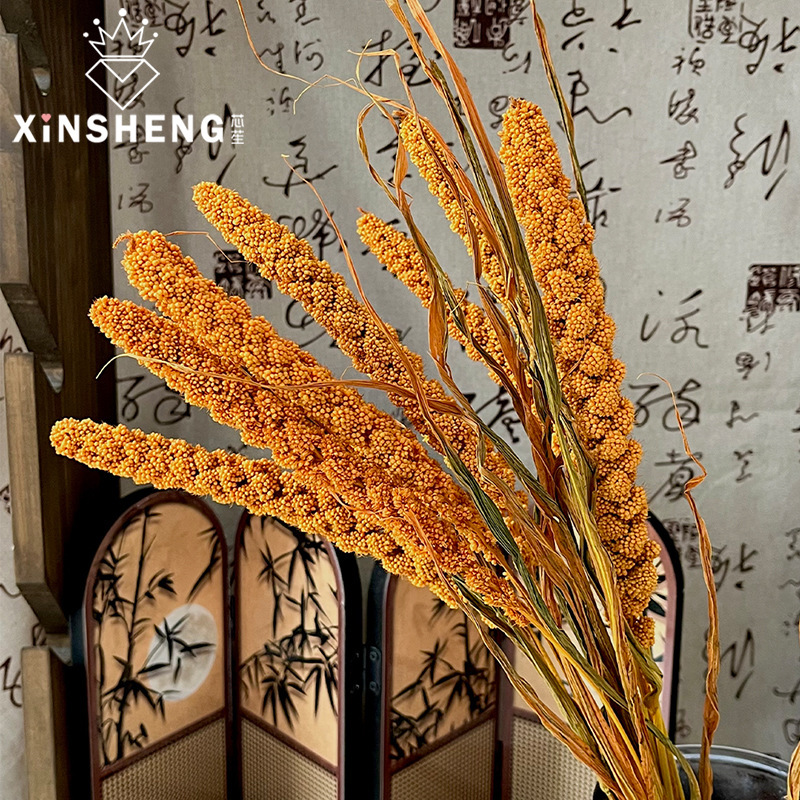 芯苼 中秋节月满丰收干花鲜花束搭配材料节日礼物装饰花艺手工diy|undefined