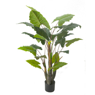 Factory wholesale large rainbow tree sea Taro Dripping Guanyin large leaf plant bonsai red lucky show window