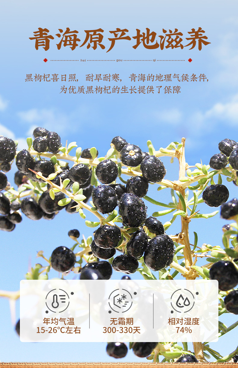 Dried Black Goji Berries 120g Jar Qinghai Black Wolfberry Fruit Ready to Eat overview