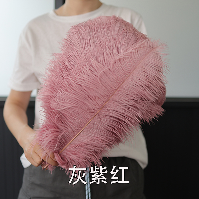 Fabricantes de pelaje de avestruz 50 - 55CM boda guía de la mesa flor de plumas de avestruz adornos de red pared roja plumas de espectáculo de escenario image 20