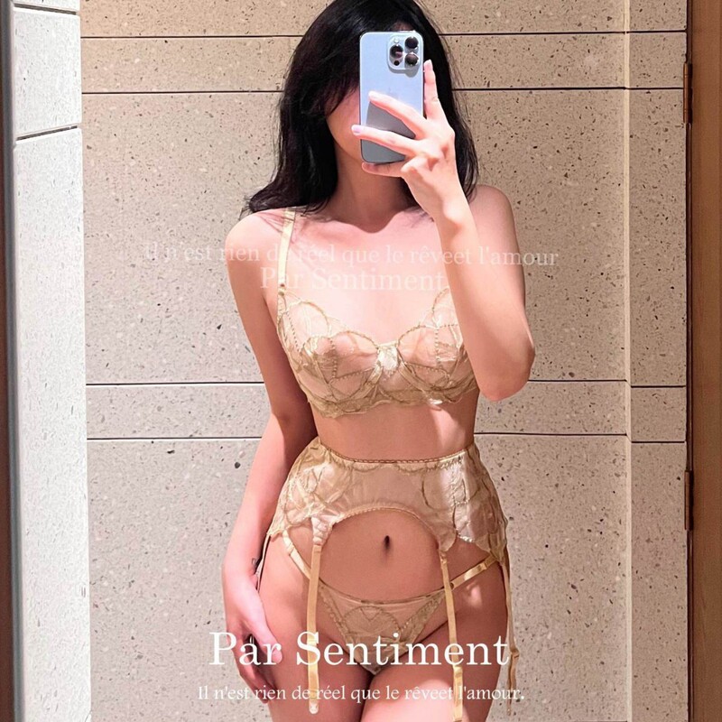 Pure Desire, High-End Luxury, Light Luxury Embroidery, Transparent Small Chest Push-Up, French Lace Lingerie, Women's Bra Set Pure Desire, High-End Luxury, Light Luxury Embroidery, Transparent Small Chest Push-Up, French Lace Lingerie, Women's Bra Set