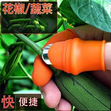 �N���������˶���Ĵָ����˺���ժ����ָ�׶�ָ�׶�����ָ��ժ��