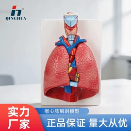 数理教学器材;教学演示用品;生物教学器材