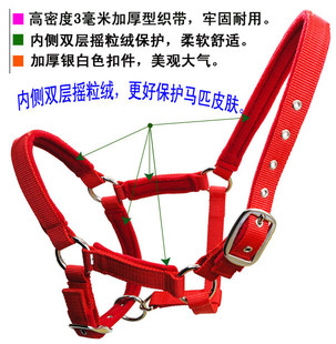 �Ӻ����R�\�^�����ٿ��۶��n�{���L���R���^�� �p�ӎ��qëܛ�|