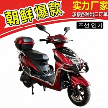 出口直销工厂F9电动车 朝鲜电动车尼佳 NIJIA 电动自行车 电瓶车