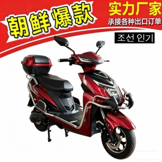 出口直销工厂F9电动车 朝鲜电动车尼佳 NIJIA 电动自行车 电瓶车