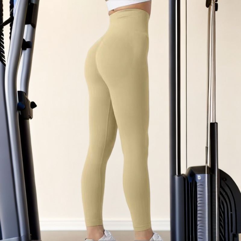 알파카 + 새로운 스타일이 온다