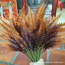 �羳���R�d���������˹��ֲ��Gֲ���b���ާ����ϰ���