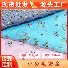 С��ë�C����10mm�Ӻ����Ϸ��b���Ь���q���F؛ë�q��ƥ���l��