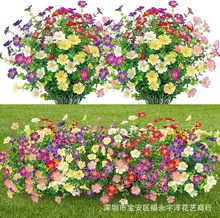 �S�ҹ��� ���滨�ٻ����ϸɻ� �ȼ������վGɫֲ������