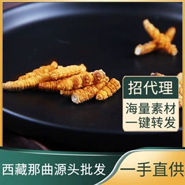 燕窝;冬虫夏草;商务礼品套装