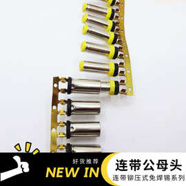 连带音叉公母头 5521 35135 dc公头母头连带铆压式免焊锡 厂家