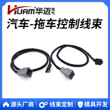 307300��܇�����������m��춼���Gladiator Wrangler����