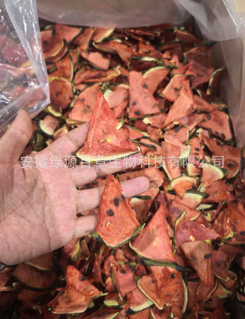 Watermelon slices in bulk 500g