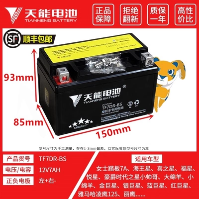 Tiineng Pedal Motorcycle Battery 12V7A Adapts to Haomai Haojue Yuexing 125YTX7A-BS Maintenance-Free Battery