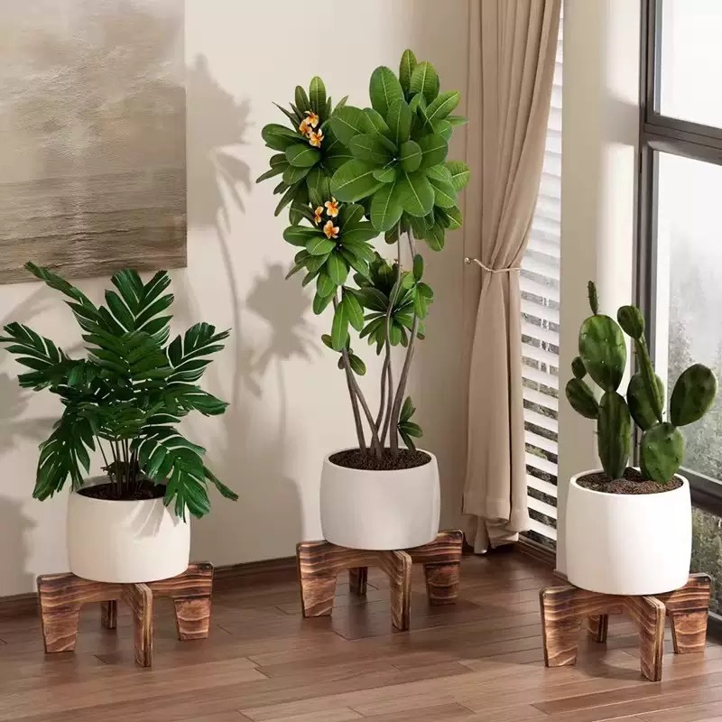 Living Room Flower Pot Elevated Stand, Height-Increasing Plant Holder Base, Cross-Shaped Small Flower Stand, Solid Wood Desktop Flower Tray, Flower Stand