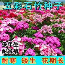 ɫʯNļ⻨ļ_ͥԺʯ̨