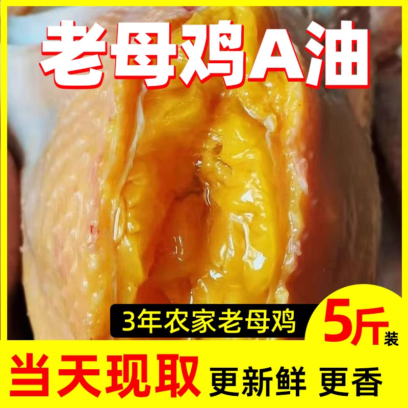 冷冻新鲜用鸡油商用餐饮鸡脂油纯鸡油老母鸡油增香顺丰包邮鸡板油