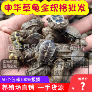 ������С���A�����L�����𾀲�����ī��С���������լ�Bֳ�����l