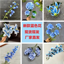 ���l���S��c��Y�þƵ��b��߻�ˇܛ�b�ٻ��b��{ɫϵ���滨��