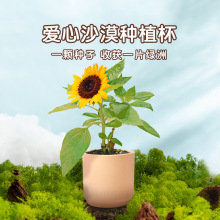 Ecoey仙人掌盆栽植物玩具儿童种植杯沙漠绿洲太阳花花卉批发室内