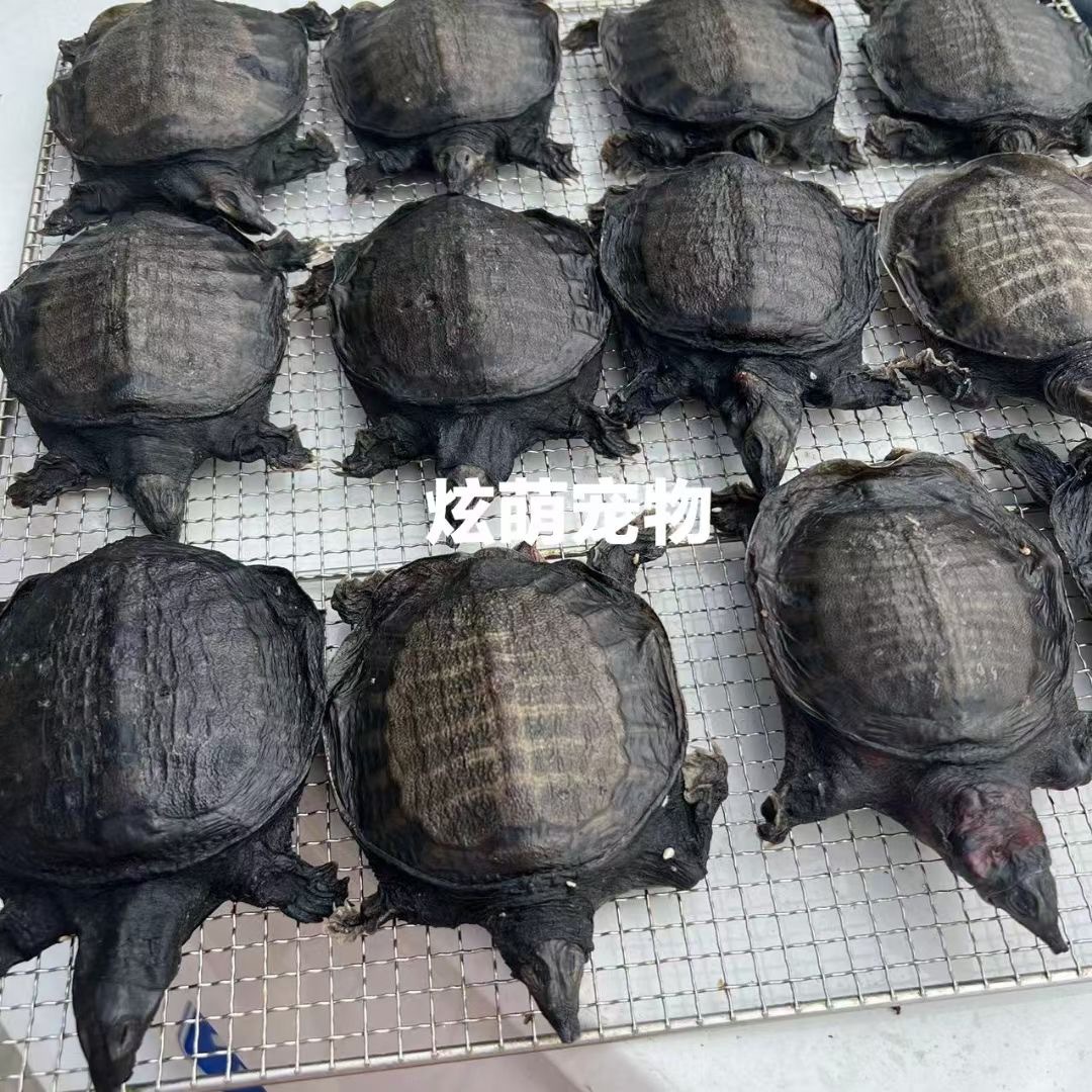 2D9A6D00-15DD-418C-92EB-DA4650