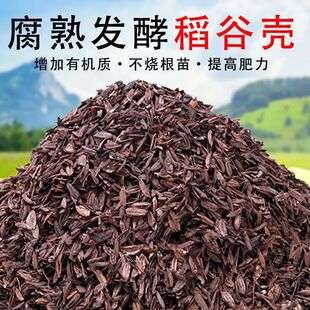 �ߜذl�͵����������԰����Gֲֲ�����Ի�������÷�¼�ͨ������