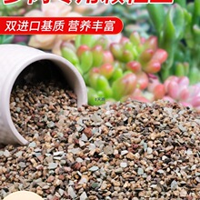 �������w�����I�B������ֲ��Nֲ�����ʯ�~���M����̿�����]