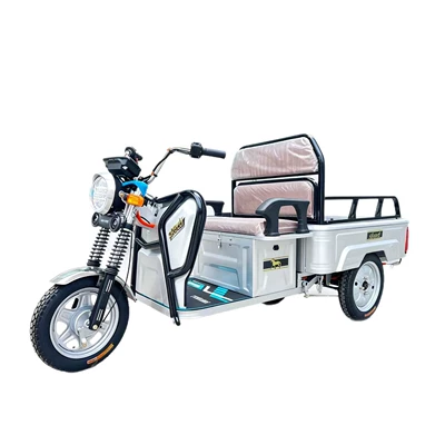 Elektrikli qolf avtomobilləri, for the elderly, dual-purpose for
