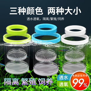 Fish Tank Hatching Box Guppy Breeding Isolation Box Small Fish Egg Fry Zebrafish Fighting Fish Tank Supplies Spawning
