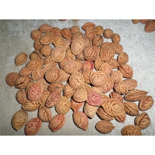 ���lɽ�ҷN��ë�Һ��²�ɽ�Ҙ�N��ë�Һ��ҿ����޽ӹ����˹����x