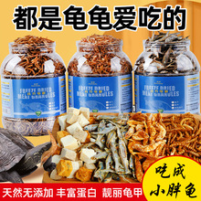 ���Z������Ϟ����Z�r��ͨ�ð�������С���~�{����ˮ��ʳ�~��