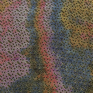 ��Ʒ�߲���Ⱦ�Ứ��z�q�� ֲ�q �������Z�q �����ܽz�q���n���q