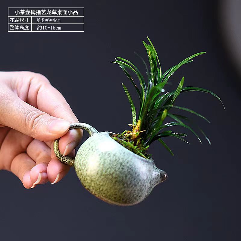 微信图片_20240526161733