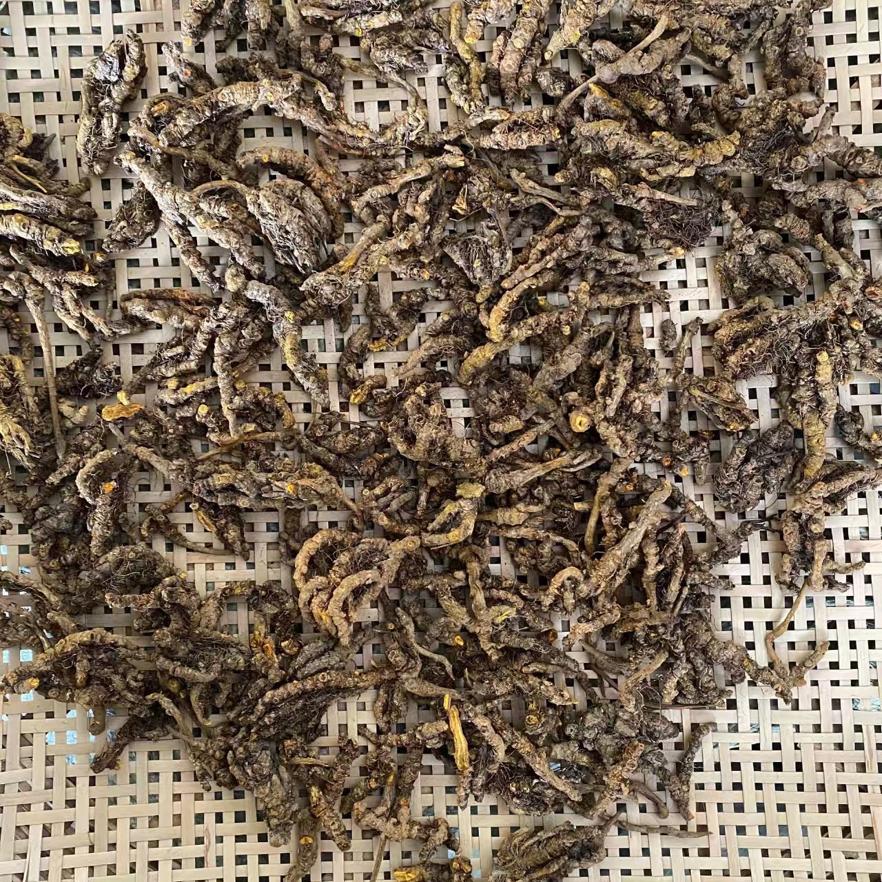 Sichuan Coptis Huang Lian Sliced Dried Herb 500g Traditional TCM Bitter Cooling Root specifications