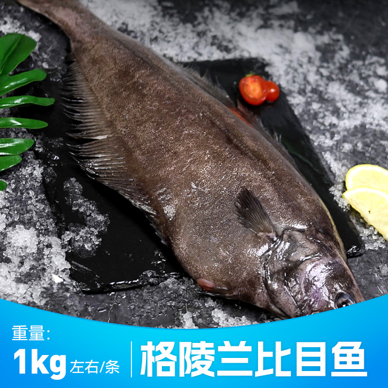 格陵兰比目鱼新鲜整条冷冻鸦片鱼深海鲜活鲽鱼海鲜水产大鲽鱼包邮