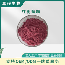 红树莓粉覆盆子果粉覆盆子粉红树莓汁粉红树莓冻干粉厂家现货支持