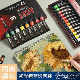 乔尔乔内24色12毫升丙烯颜料 铝管套装绘画涂鸦DIY美术颜料批发