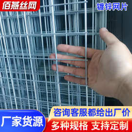 镀锌电焊网片厂家定制养殖圈地电焊网桥梁隧道支护镀锌网格片