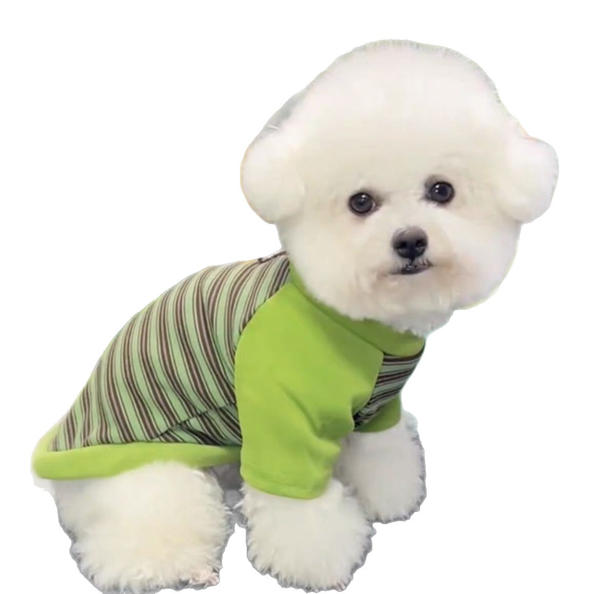 Gatos otoño invierno ropa accesorios rayas mascotas perros pequeños peleas de peluche que osos suministros de camiseta de base universal transfronterizos