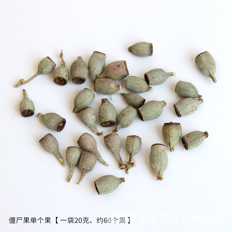 Quả thây ma [một túi 20 gam, khoảng 60 cái]